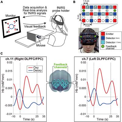 Individual Sensory Modality Dominance as an Influential Factor in the Prefrontal Neurofeedback Training for Spatial Processing: A Functional Near-Infrared Spectroscopy Study